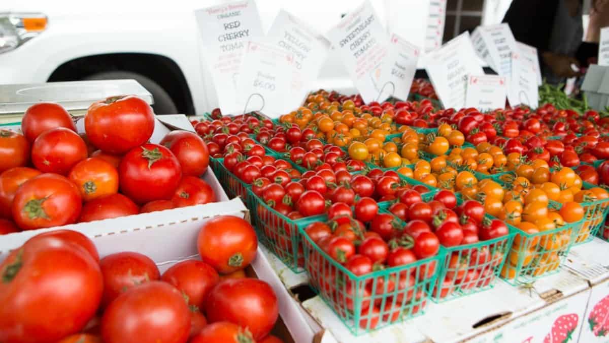 healthy summer farmer's market tomatoes