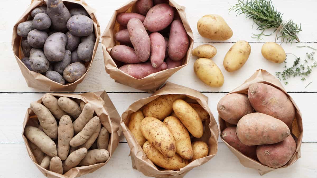 different types of potatoes