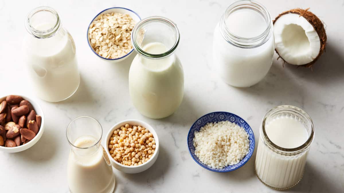 jugs of plant-based milk alternatives with bowls of grains and nuts