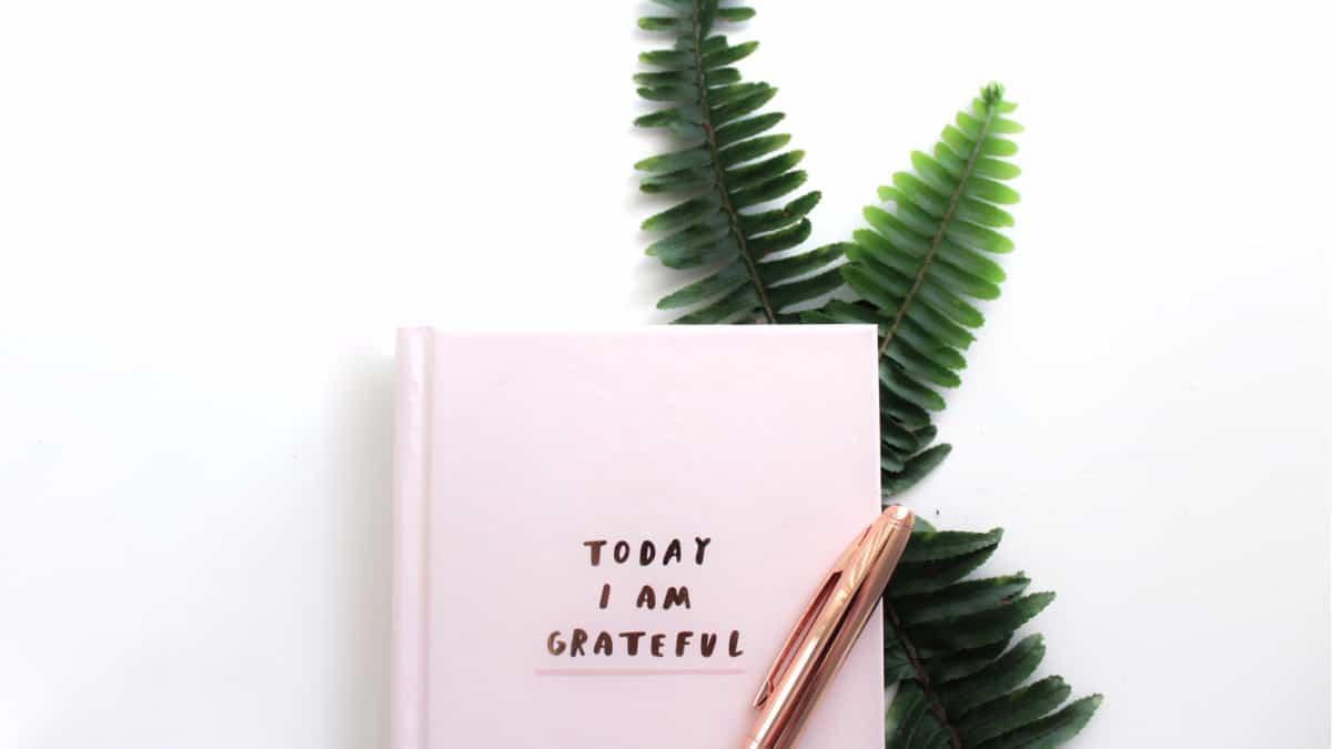 gratitude journal with ferns