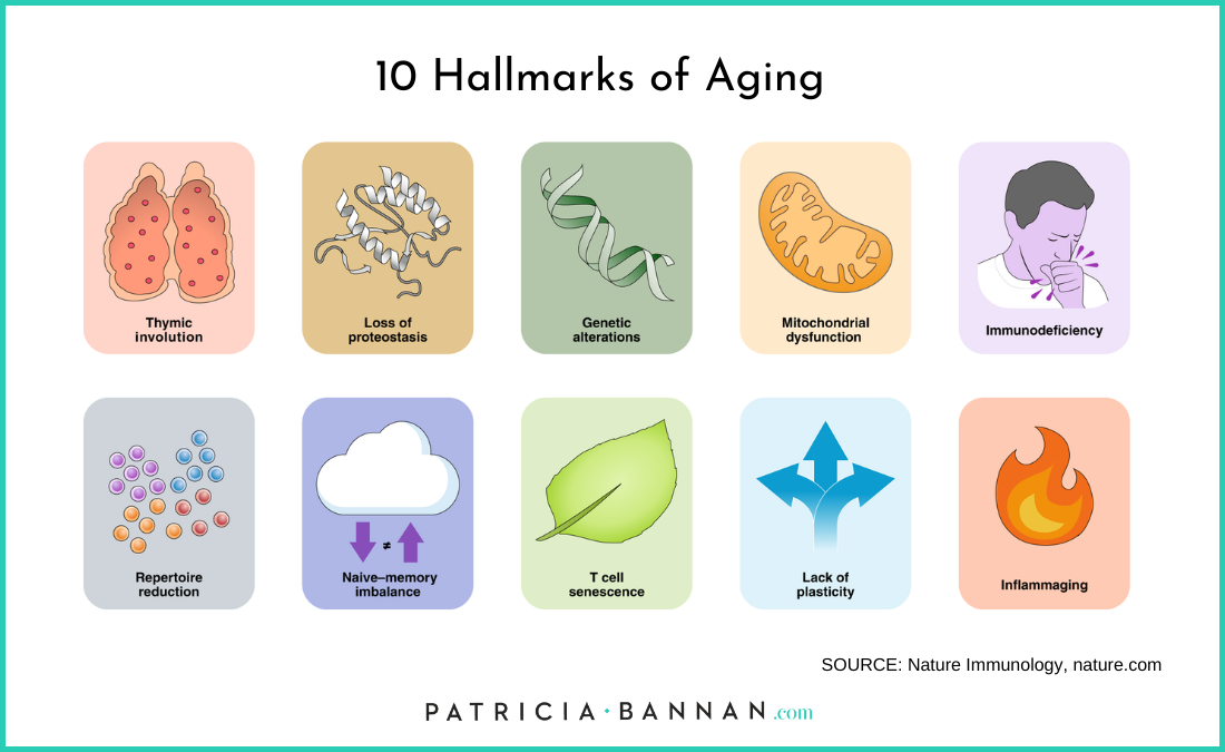 10 hallmarks of aging sourced from nature.com
