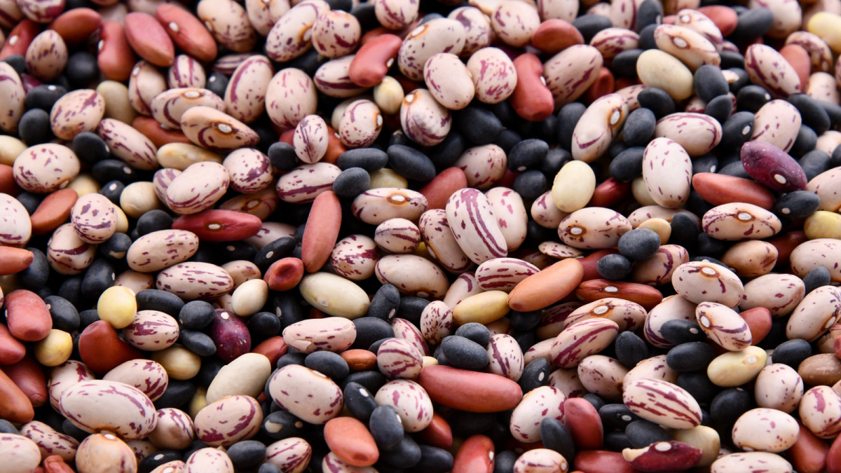 are beans healthy different types of beans