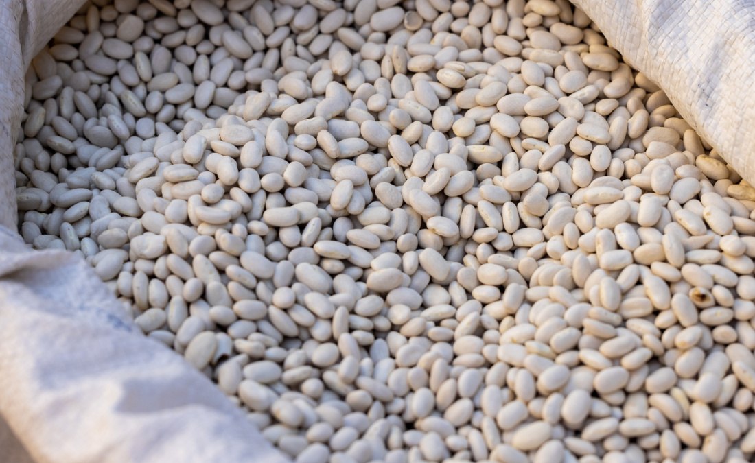 bag of navy beans