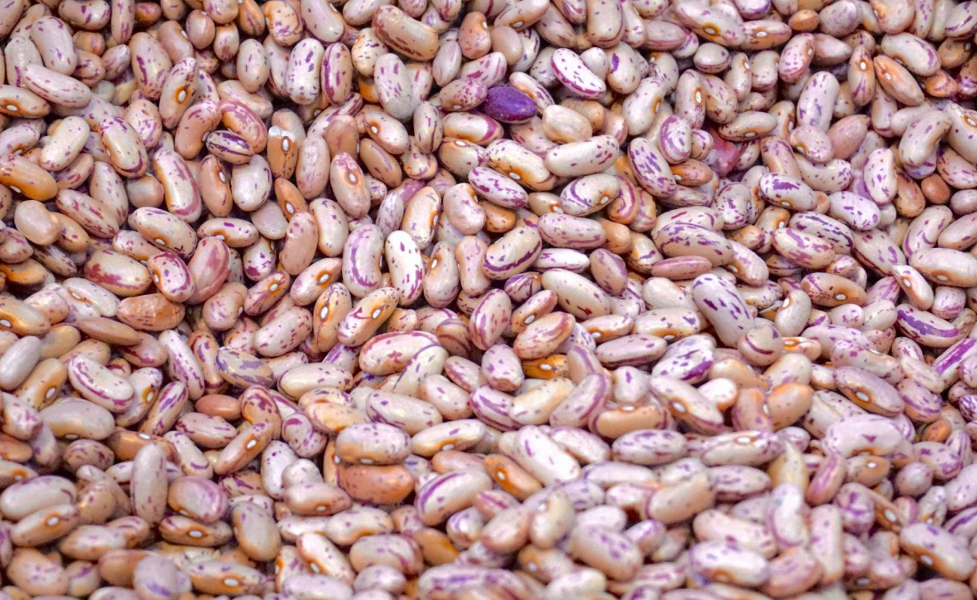 close up of pinto beans