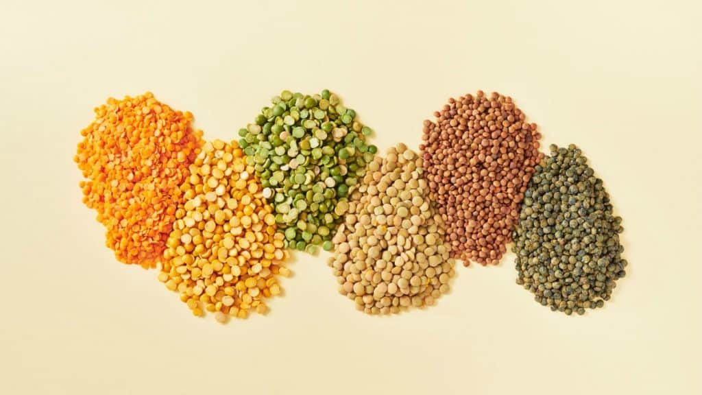 What's the Difference Between a Legume, Bean, and Pulse? Patricia Bannan, MS, RDN