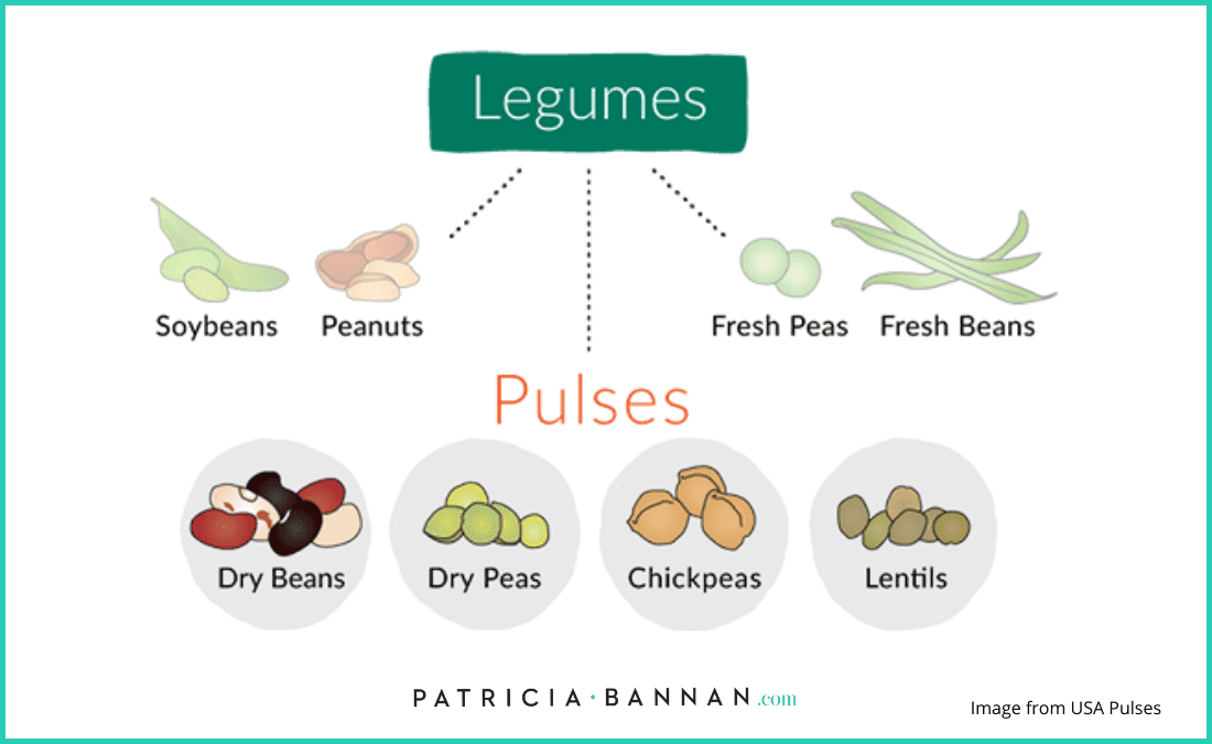 What's the Difference Between a Legume, Bean, and Pulse? - Patricia Bannan,  MS, RDN