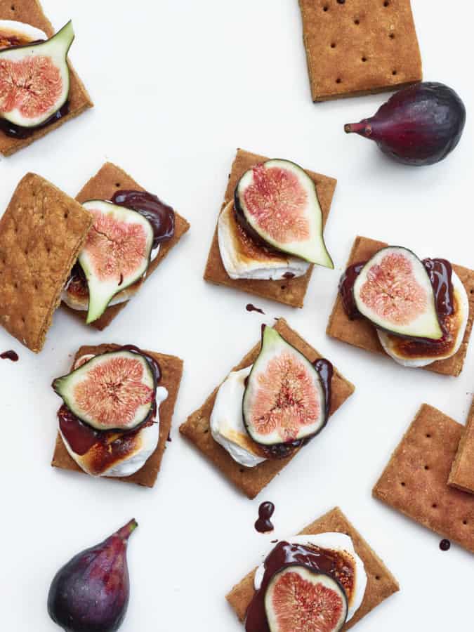 Homemade S'mores in the Oven with California Figs - Patricia Bannan, MS ...