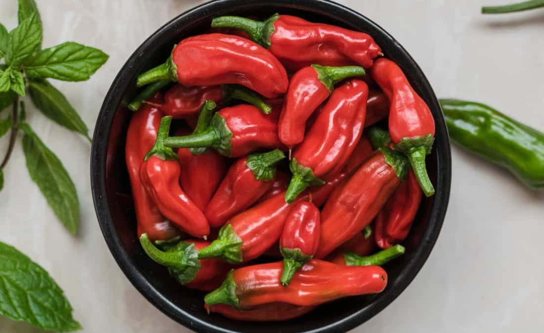 How Much Capsaicin is Too Much? Patricia Bannan, MS, RDN
