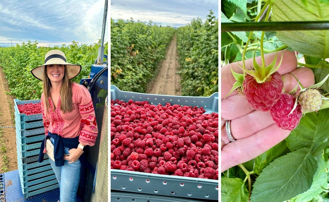 Are Frozen Raspberries as Good as Fresh Raspberries? - Patricia Bannan ...