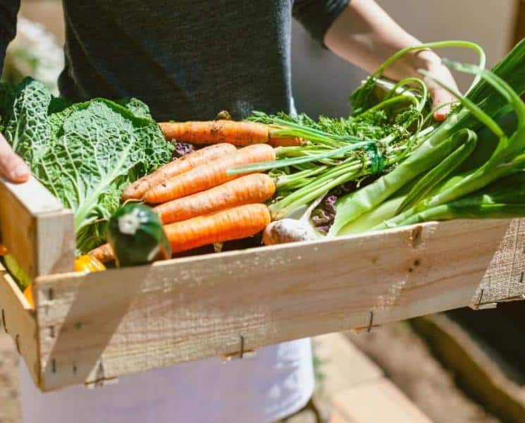 14 Sustainability Tips from Dietitians for Earth Month