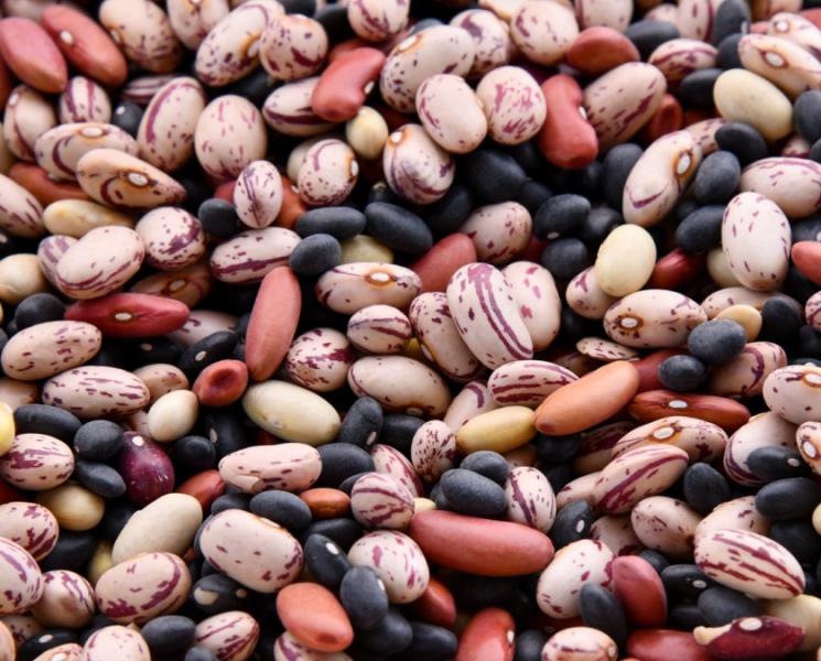 Are Beans Healthy? 10 of the Healthiest Beans to Eat