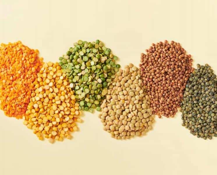 What’s the Difference Between a Legume, Bean, and Pulse?